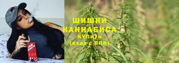 PSILOCYBIN Балахна
