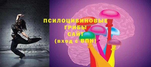 винт Арсеньев