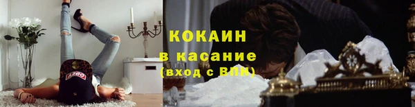 СК Аркадак