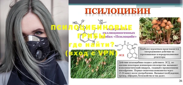 PSILOCYBIN Балахна