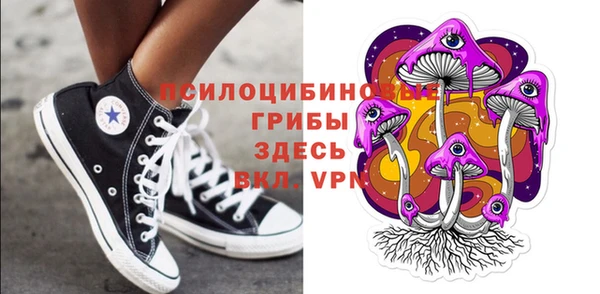 PSILOCYBIN Балахна