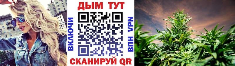 где найти наркотики  hydra ССЫЛКА  Бошки марихуана индика  Моздок 